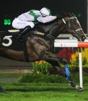 Photo by Singapore Turf Club